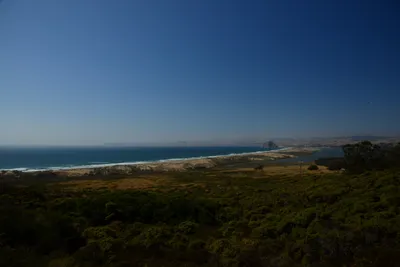 DSC_2548 (Large).JPG